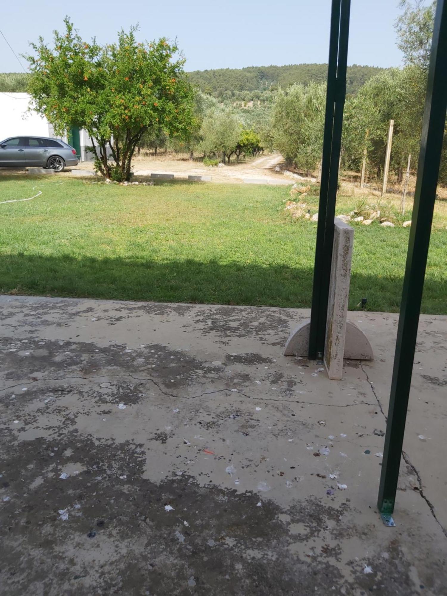 Casa colonica di campagna come era una volta Peschici Camera foto